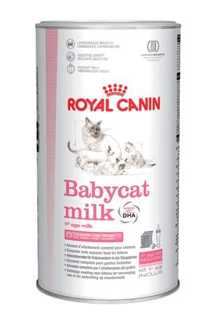 Royal Canin Feline Health Nutrition Babycat Milk 300 g