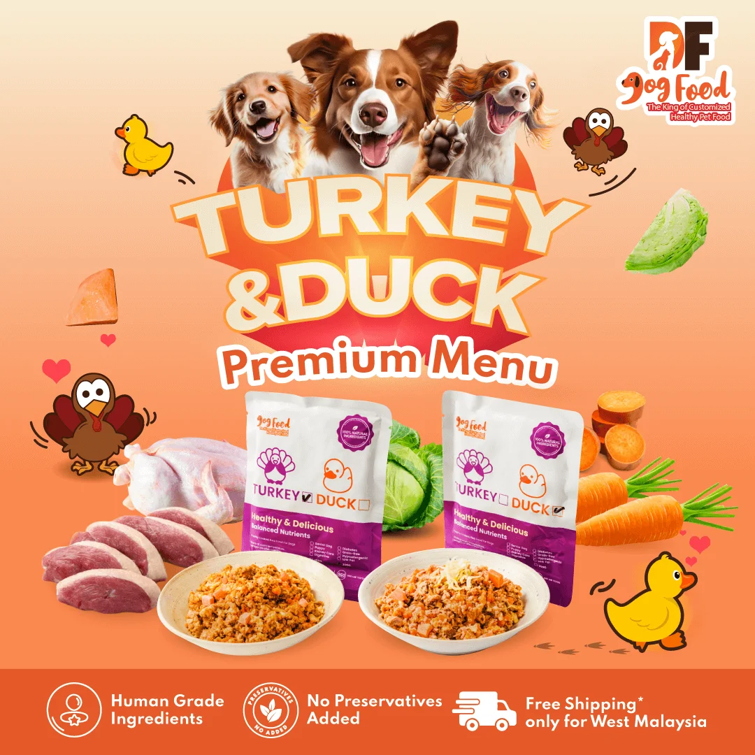 Turkey-and-Duck-Premium-Plan-1
