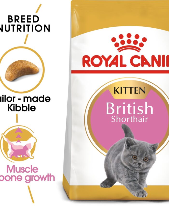 Royal Canin British Shorthair Adult Cat Food – 2kg