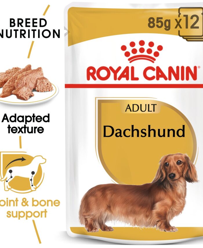 Royal Canin Breed Health Nutrition Dachshund Adult 85G (Wet Food )