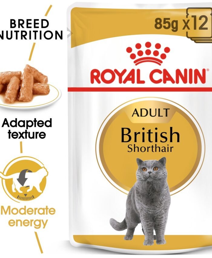 Royal Canin British Shorthair Adult Cat Food – 85g (Wet Food)