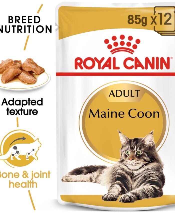 Royal Canin Feline Breed Nutrition Maine Coon 85G (Wet Food )